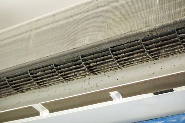 Best Duct Cleaning for Homes  in Waldorf, MD